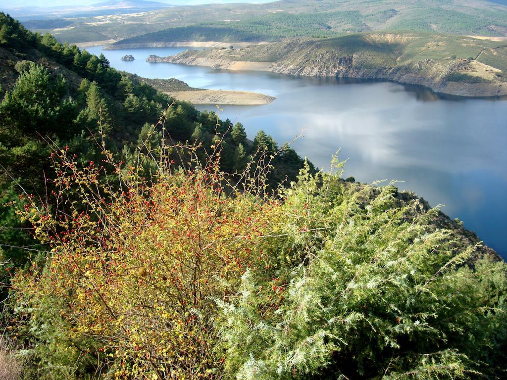 Гостьовий будинок El Egio Cervera de Buitrago Екстер'єр фото